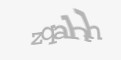 Təhlükəsizlik kodu