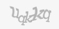 Təhlükəsizlik kodu