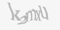 Təhlükəsizlik kodu