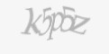 Təhlükəsizlik kodu