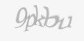 Təhlükəsizlik kodu