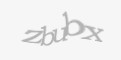 Təhlükəsizlik kodu